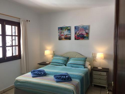 Palm villa