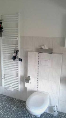 a bathroom with a white toilet in a room at Gästehaus Alte Schule in Buschhof