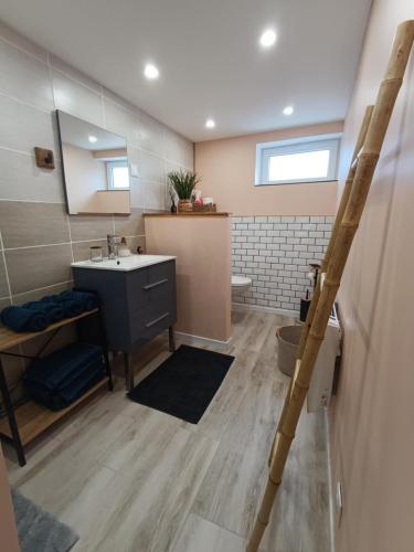 une salle de bain avec un lavabo et un miroir dans l'établissement Appartement cosy à Chamagne, à Chamagne
