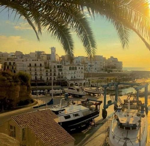 Naturlandskabet i nærheden af lejligheden