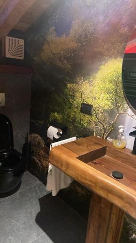 Gambar di galeri bagi B&B Villa Plaz di Daone