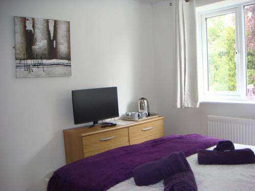 a bedroom with a bed and a tv on a dresser at Salmon Leap Hotel in Whitby