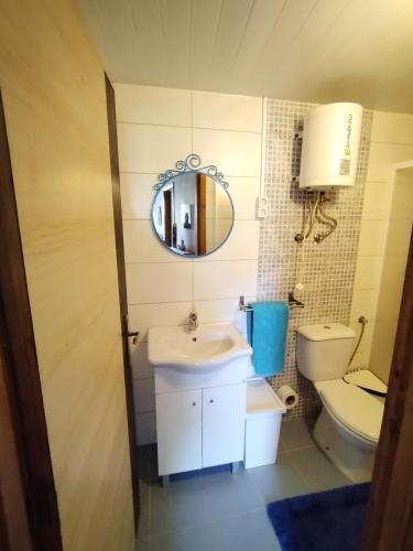 a bathroom with a sink and a toilet and a mirror at Belo Encanto do Paiva in Castelo de Paiva