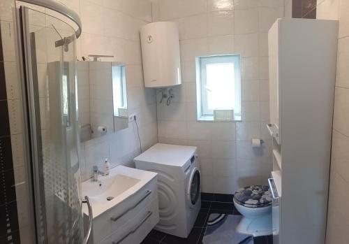 a bathroom with a washing machine and a sink at Apartment Zaglav in Zaglav