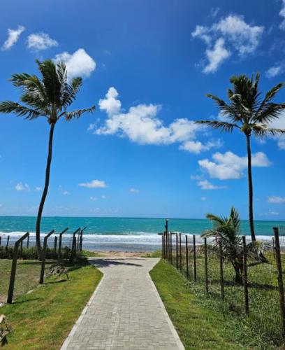 a pathway leading to the beach with palm trees at MALIA MURO ALTO STUDIO 300m DO MAR in Porto De Galinhas