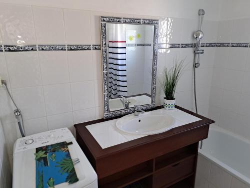 une salle de bain avec un lavabo et un miroir dans l'établissement Charmante maison près du golf et plage avec terrasse et parking - FR-1-323-514, à Saint-Jean-de-Monts