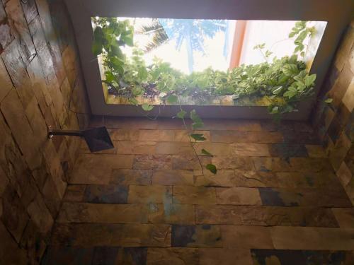 a window in a bathroom with a plant at Mandaram villas in Mararikulam