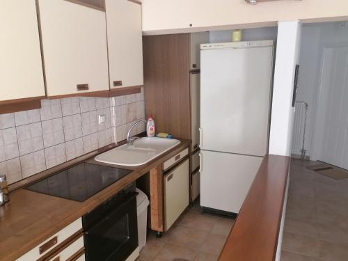 Dapur atau dapur kecil di Trikala Alex House