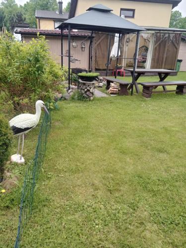 a white bird standing on a fence in a yard at Домик для двоих in Pärnu