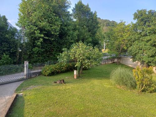 a dog laying in the grass next to a fence at Casa Daniele in Villanuova sul clisi