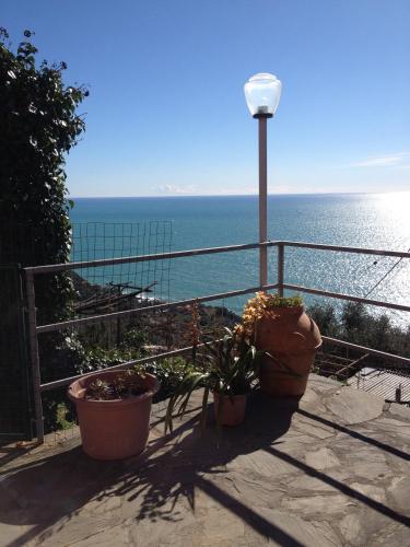 a view of the ocean from a balcony with plants at Tramonto sul Mare in Framura