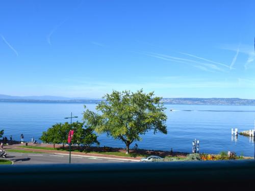 Spacieux appartement à Évian, proche centre et lac, pour 5 personnes, animaux acceptés - FR-1-498-7
