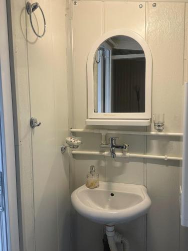 a bathroom with a sink and a mirror at Splav ANDJELA Perucac in Perućac