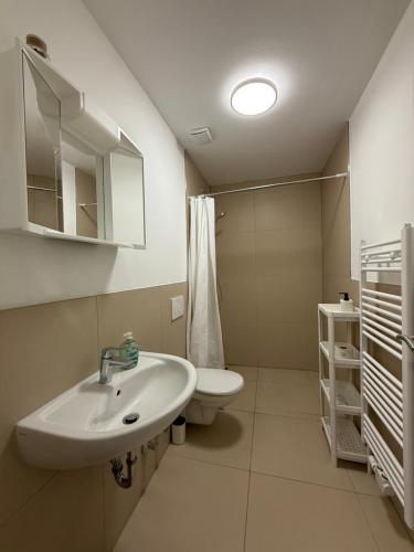 BudenheimにあるMillimetergenauAptの洗面台とトイレ付きのバスルーム