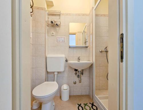 ノヴィグラード・イストラにあるMargarita 2のトイレと洗面台のある小さなバスルーム