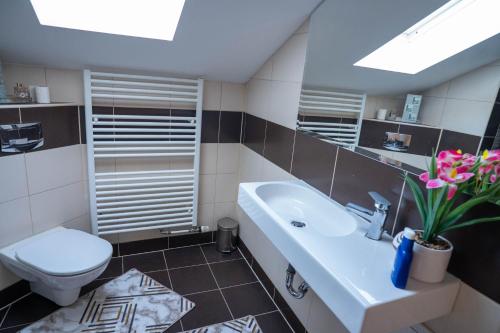 a bathroom with a white sink and a toilet at Penthouse Secret Rose with pool, jacuzzi, sauna, private garage, entry with pin 0-24h in Slavonski Brod