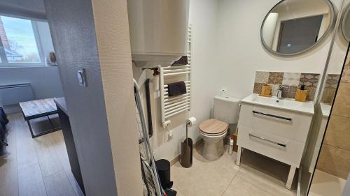 une petite salle de bain avec toilettes et lavabo dans l'établissement Le Naturel, à Montargis