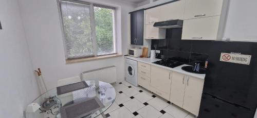 Majoituspaikan TESTEMITEANU APARTMENT keittiö tai keittotila