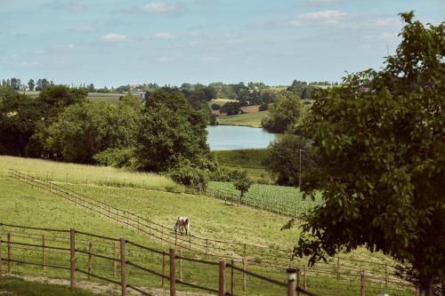 a horse in a field with a fence and a lake at La Ferme de Jeanne in Francescas
