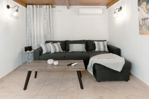 Lamiria center house