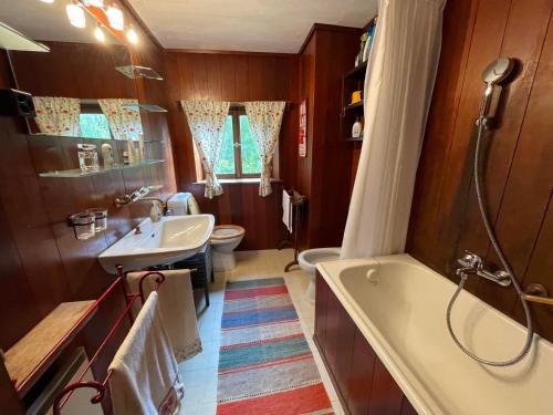 a bathroom with a tub and a sink and a toilet at Ancient Engadine Mill in Scuol