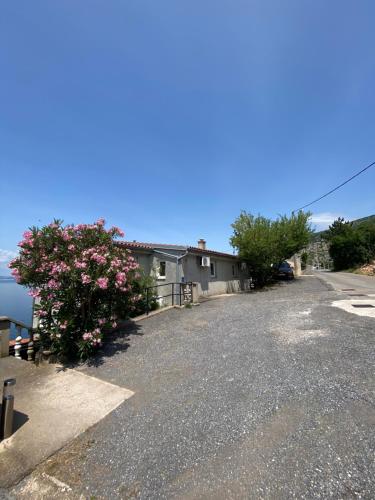 BRIŠKULa
