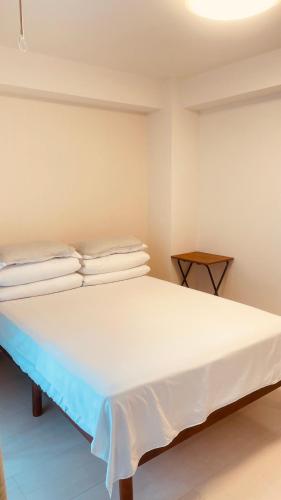 SkyHotel Kikukawa 駅徒歩2分 秋葉原 新宿直行