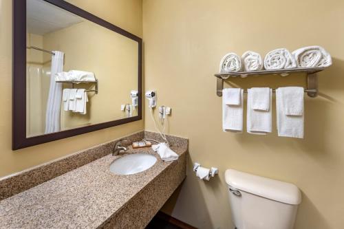 Phòng tắm tại Quality Inn Greenville North