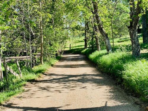 a dirt road with trees on either side of it at Le gîte du Brusquet in Antrenas
