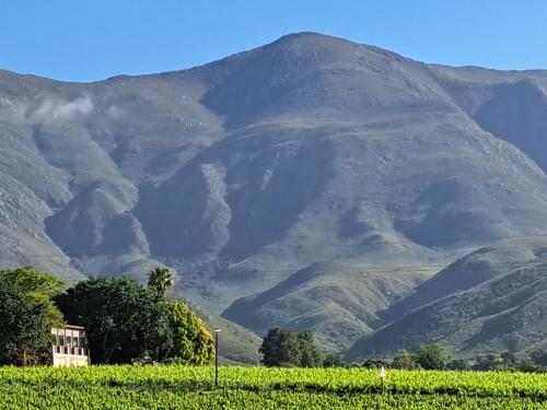 a mountain in the distance with a house and a field at Klaasvoogds Loft in Robertson