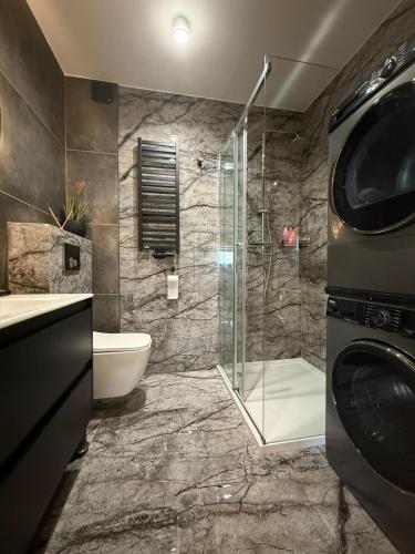 a bathroom with a shower and a toilet and a sink at Apartament KALINA in Chojnice