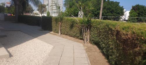 a walk way next to a hedge with trees at Magic Sea Apartments in Larnaka