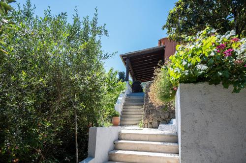Zahrada ubytování Casa Tomazo