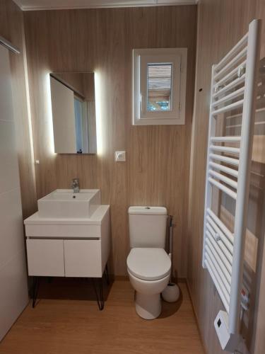 une salle de bain avec toilettes, lavabo et miroir dans l'établissement couples AMOUREUX gde propriété 4000M2 avec 2 maisons indépendantes grande piscine privée clim, à Combas