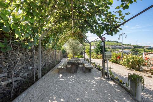 a garden with a bench under a pergola at Casa Da Jesus in Provesende