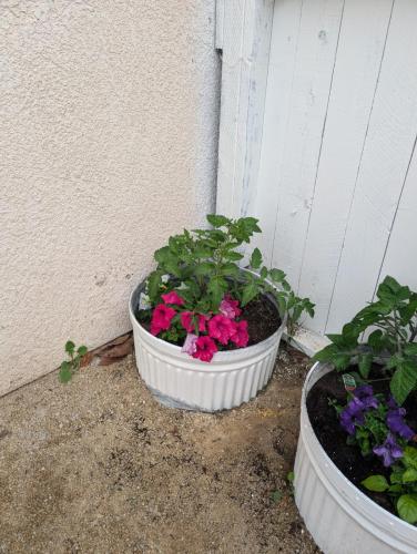 two pots of flowers sitting next to a wall at Oceano Unit B in Oceano