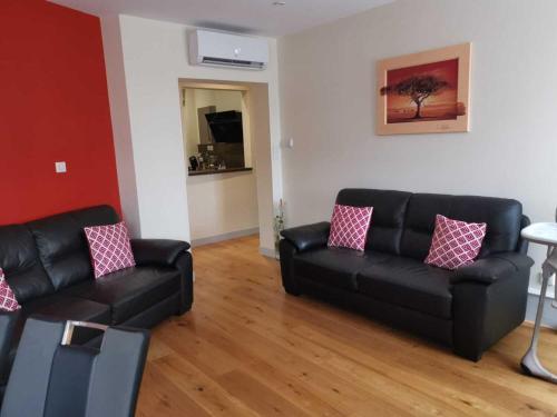 - un salon avec un canapé noir et des oreillers roses dans l'établissement Le Muguet 3 chambres - 1 GARAGE GRATUIT, à Colmar