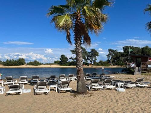 - un bouquet de chaises longues et un palmier sur la plage dans l'établissement MOBILHOME 6-8 PERSONNES Camping LES VIVIERS 4 ETOILES CAP FERRET, à Lège-Cap-Ferret