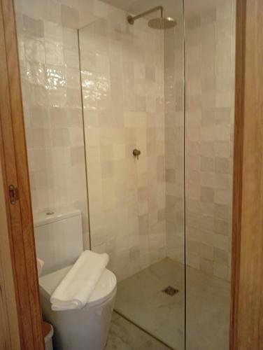 a bathroom with a toilet and a glass shower at Ánimas, elegantes pisos en el centro histórico in Pontevedra