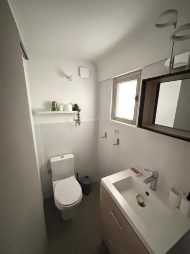 une salle de bain blanche avec des toilettes et un lavabo dans l'établissement le minicoulier, à Carros