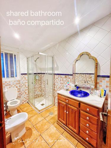 Centro Málaga-Casa del Limón