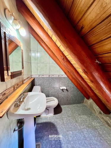 un baño con lavabo e inodoro en Natasha Hostel Boutique, en Caviahue