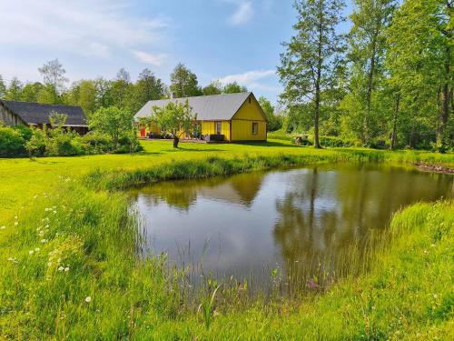 a pond in the middle of a field with a house at Elly Kodumajutus Kihnus in Linaküla