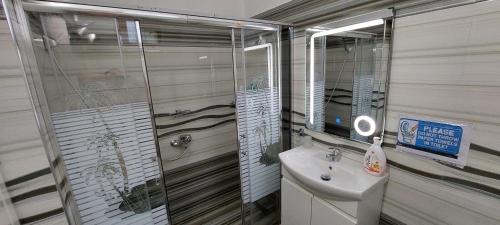 a bathroom with a shower and a sink and a mirror at Guest House Flowers in Berat