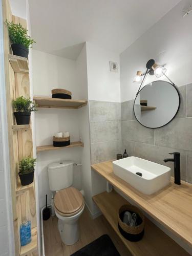 une salle de bain avec un lavabo blanc et des toilettes dans l'établissement Studio - 19, à Rochefort-en-Terre