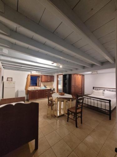 a living room with a bed and a table and chairs at Aegean soul apartment in Halki