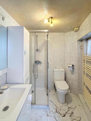 une salle de bain avec une douche, des toilettes et un lavabo dans l'établissement Paisible deux pièces, à Cannes