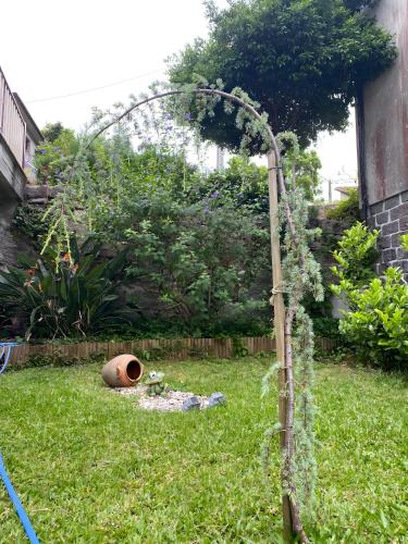 a garden with a tree in the grass at Sidro House - Alojamento No Gerês in Geres