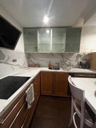 une cuisine avec des armoires vertes et un évier dans l'établissement Appartement cosy dans le grand Paris, à Chennevières-sur-Marne