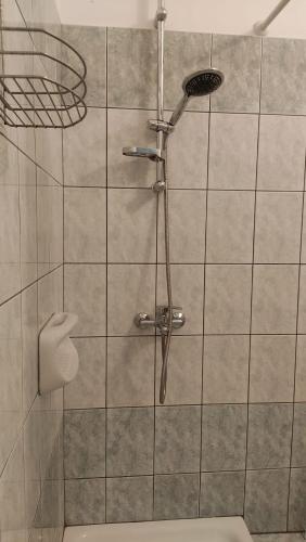 a shower with a shower head in a bathroom at Nikolaou Thomas House in Parga